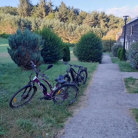 Appartement Au Calme En Pleine Nature Le Carpe Diem La Salvetat-sur-Agout